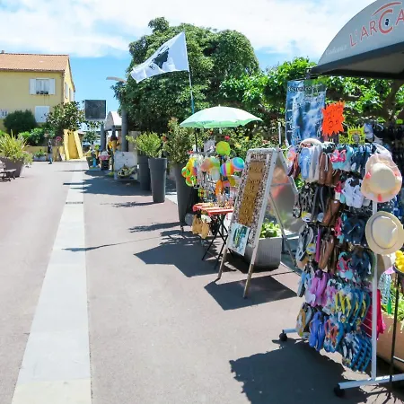 Dami Ii-2 By Interhome 公寓